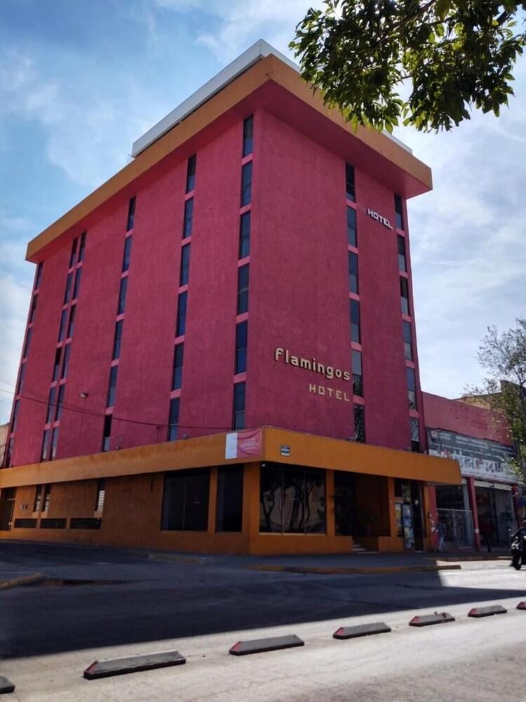 Hotel Flamingos Guadalajara Exterior foto